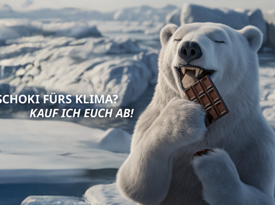 Ein Eisbär beißt von einer Tafel Schokolade ab, Text: Schoki fürs Klima? Kauf ich euch ab.